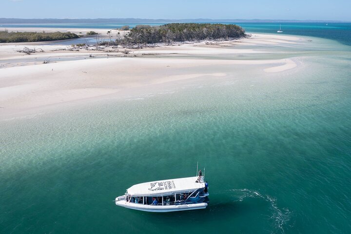 Great Sandy Straits Seven Island Ultimate Wildlife Cruise - photo