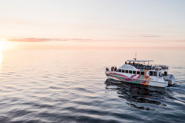 Twilight Cruise in Hervey Bay - photo