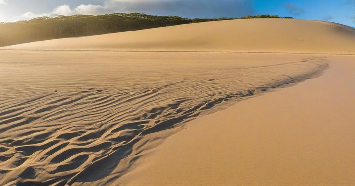 Golden-hour sand dunes with footprints and a forested ridge